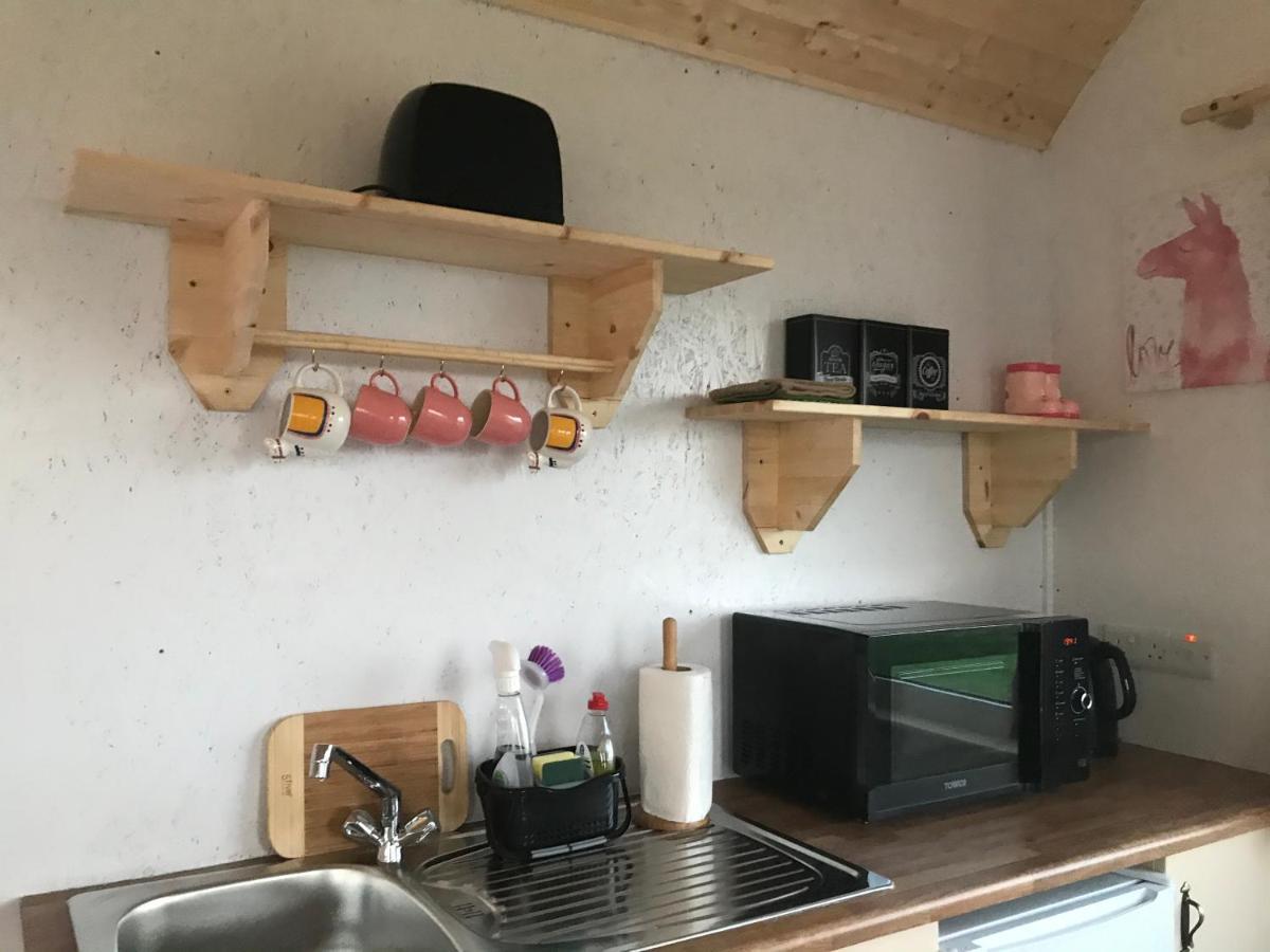 The Beautiful Lazy Llama Shepherd Hut Farm Stay Ballyshannon Exteriör bild