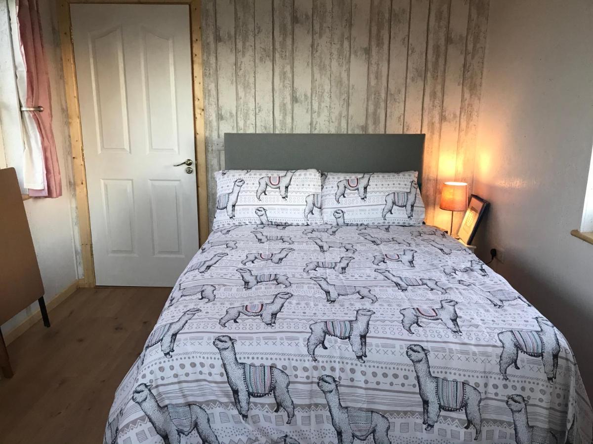 The Beautiful Lazy Llama Shepherd Hut Farm Stay Ballyshannon Exteriör bild