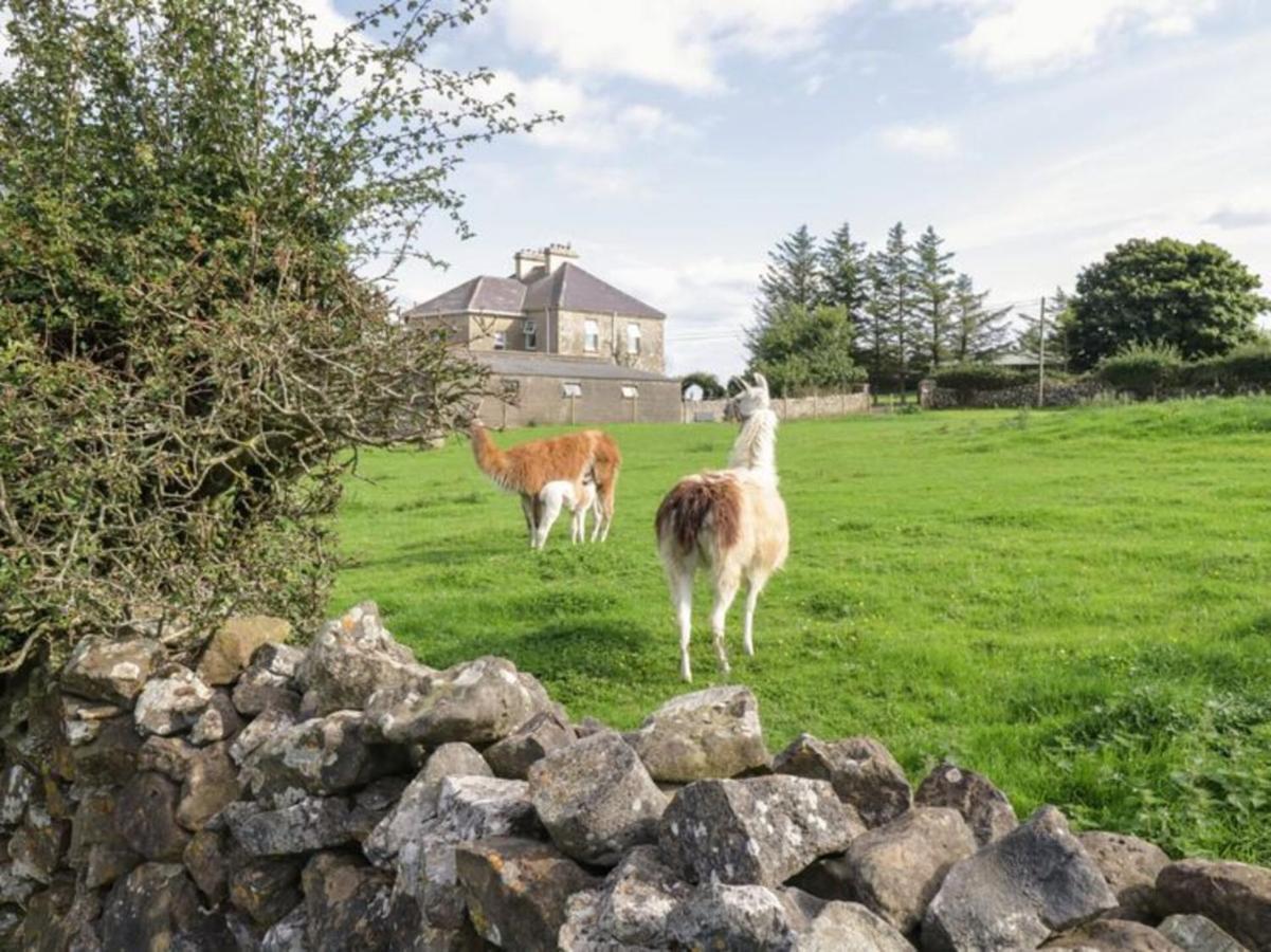 The Beautiful Lazy Llama Shepherd Hut Farm Stay Ballyshannon Exteriör bild