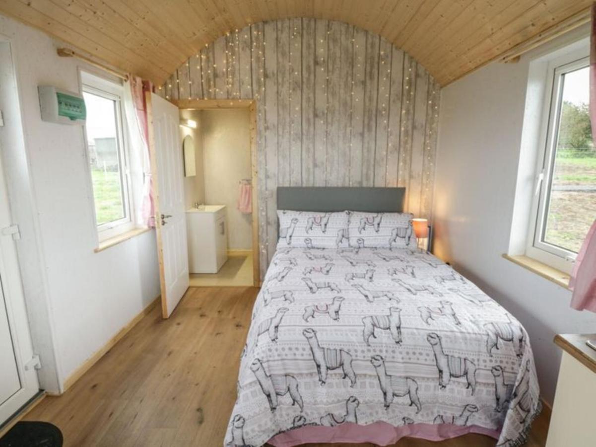 The Beautiful Lazy Llama Shepherd Hut Farm Stay Ballyshannon Exteriör bild