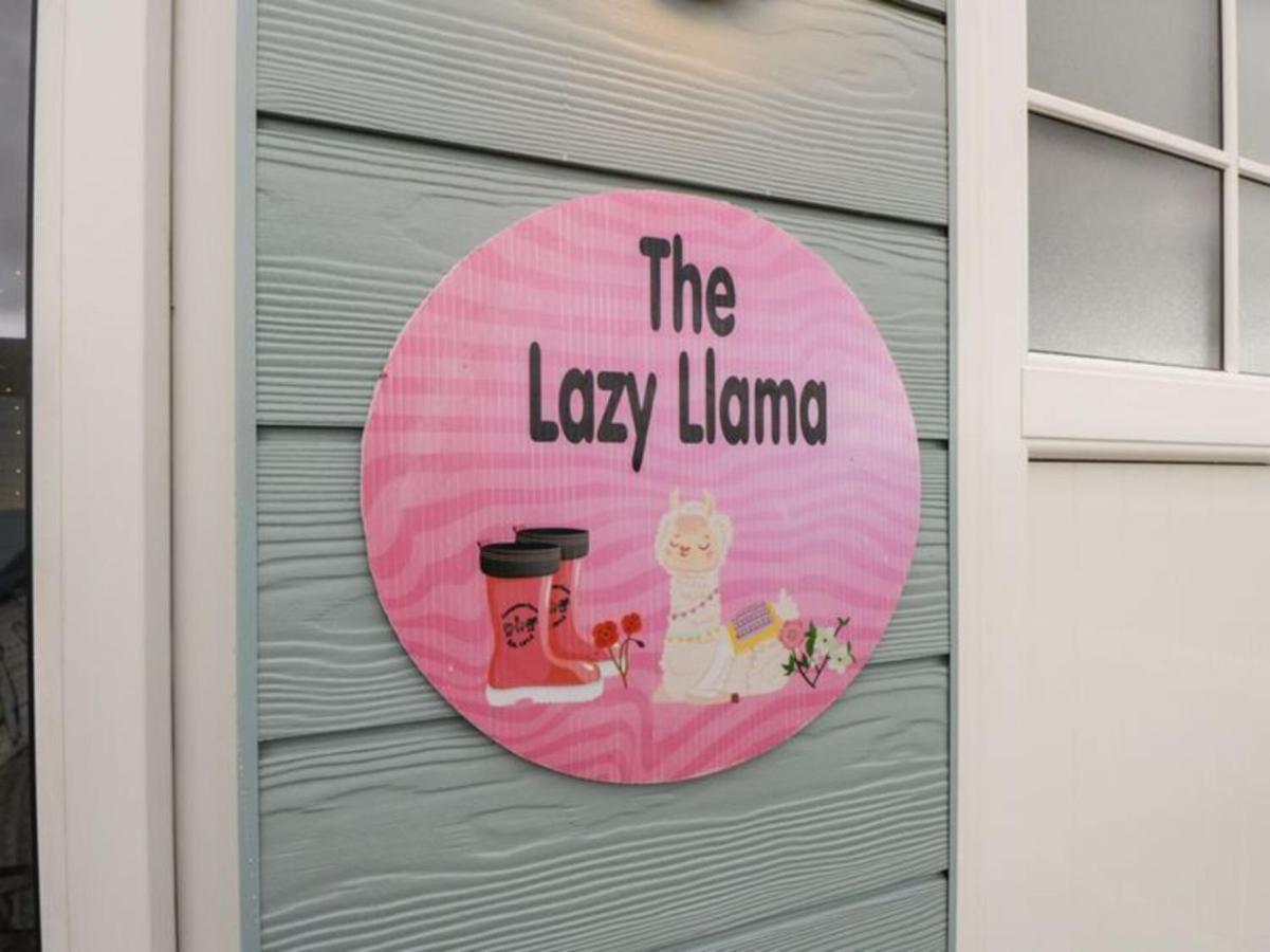 The Beautiful Lazy Llama Shepherd Hut Farm Stay Ballyshannon Exteriör bild