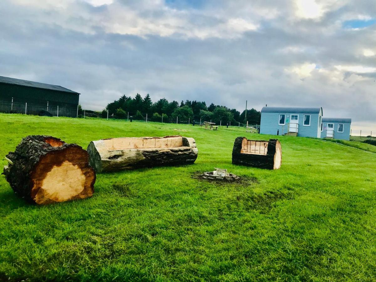 The Beautiful Lazy Llama Shepherd Hut Farm Stay Ballyshannon Exteriör bild