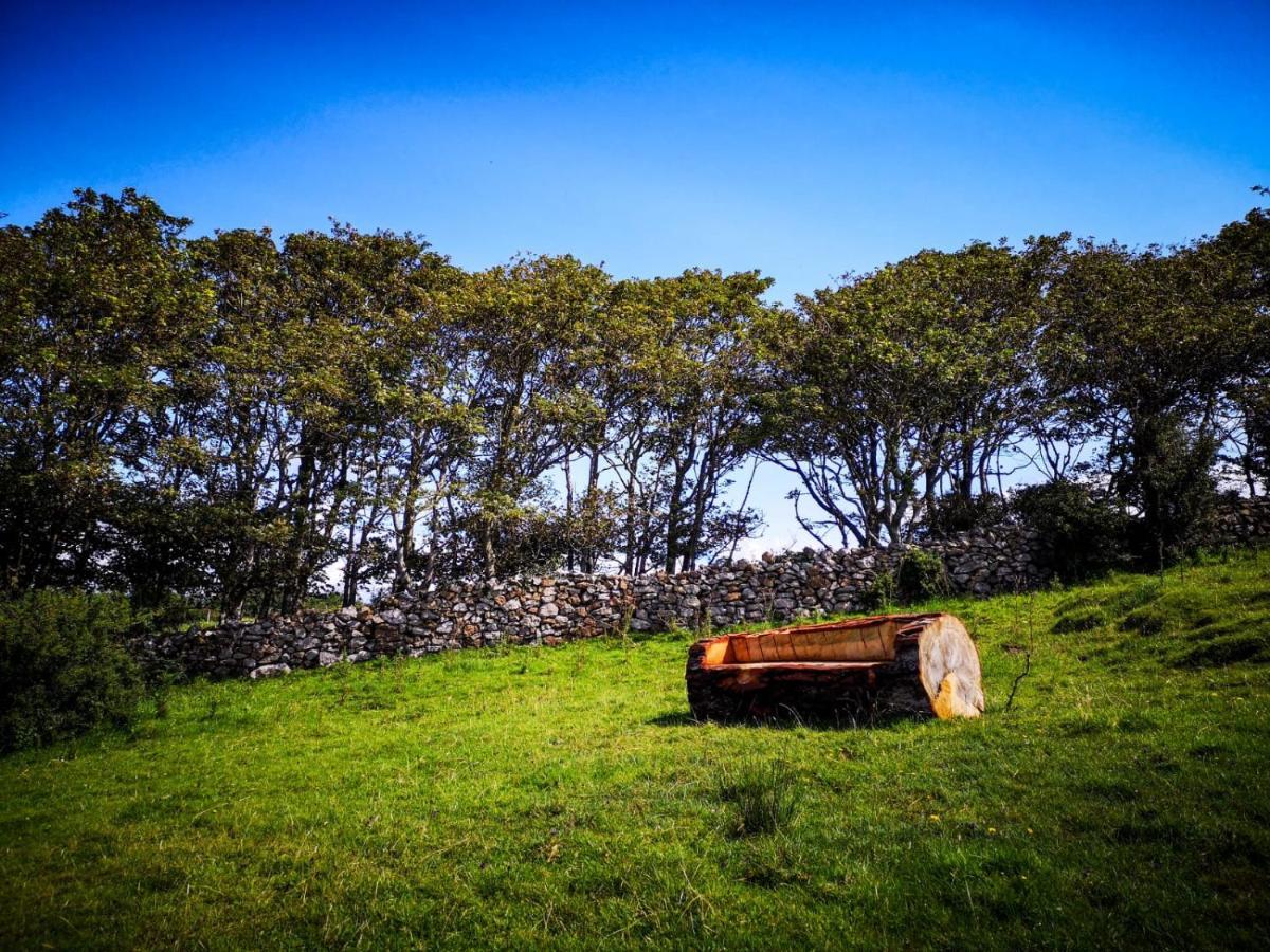 The Beautiful Lazy Llama Shepherd Hut Farm Stay Ballyshannon Exteriör bild