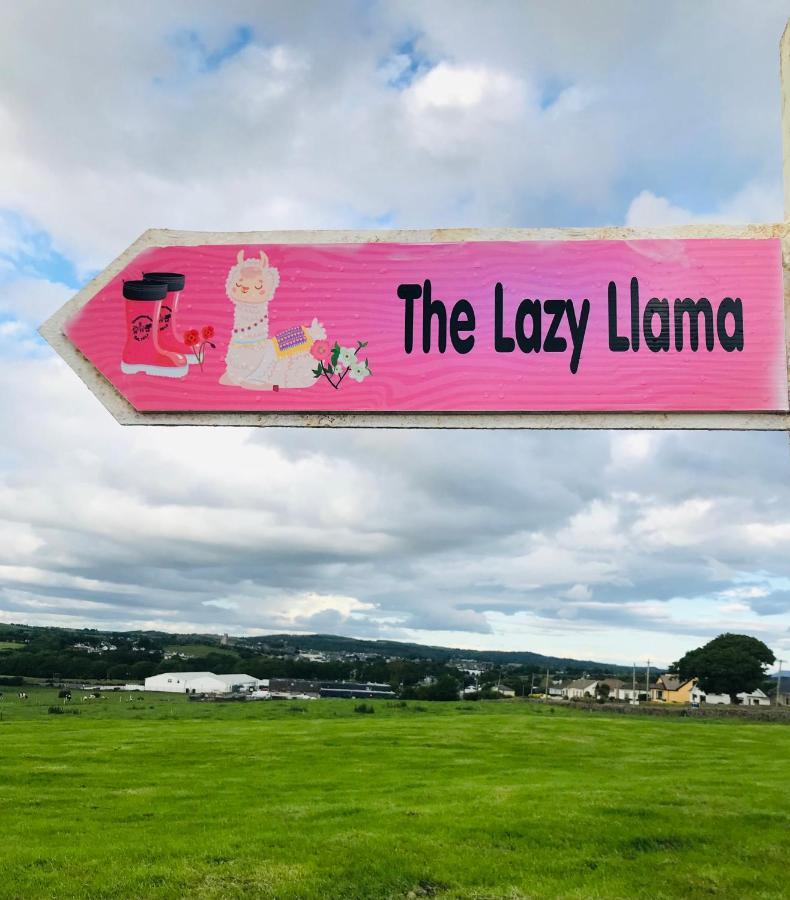 The Beautiful Lazy Llama Shepherd Hut Farm Stay Ballyshannon Exteriör bild