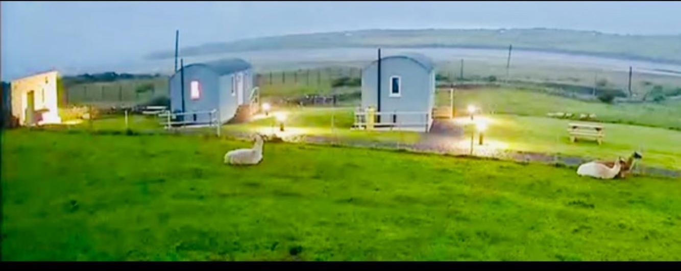 The Beautiful Lazy Llama Shepherd Hut Farm Stay Ballyshannon Exteriör bild
