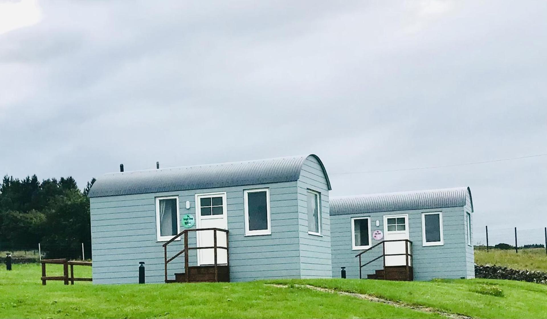 The Beautiful Lazy Llama Shepherd Hut Farm Stay Ballyshannon Exteriör bild